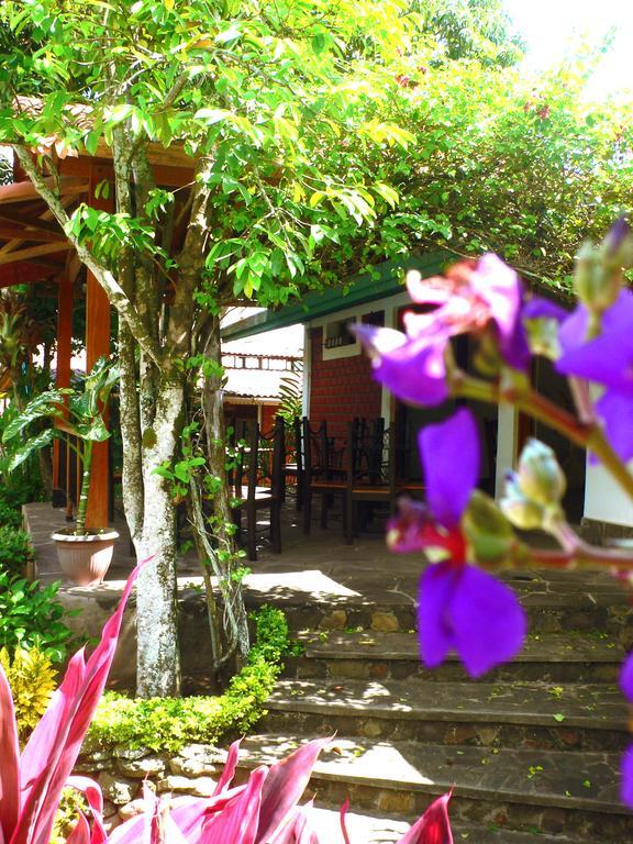 Bubinzana Magical Lodge Tarapoto Dış mekan fotoğraf